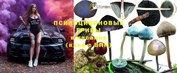 mdpv Покачи